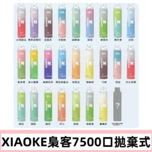 梟客XIAOKE|7500口可發光拋棄式電子煙 跑馬燈一次性